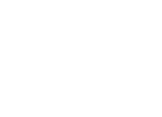 CVC Logo
